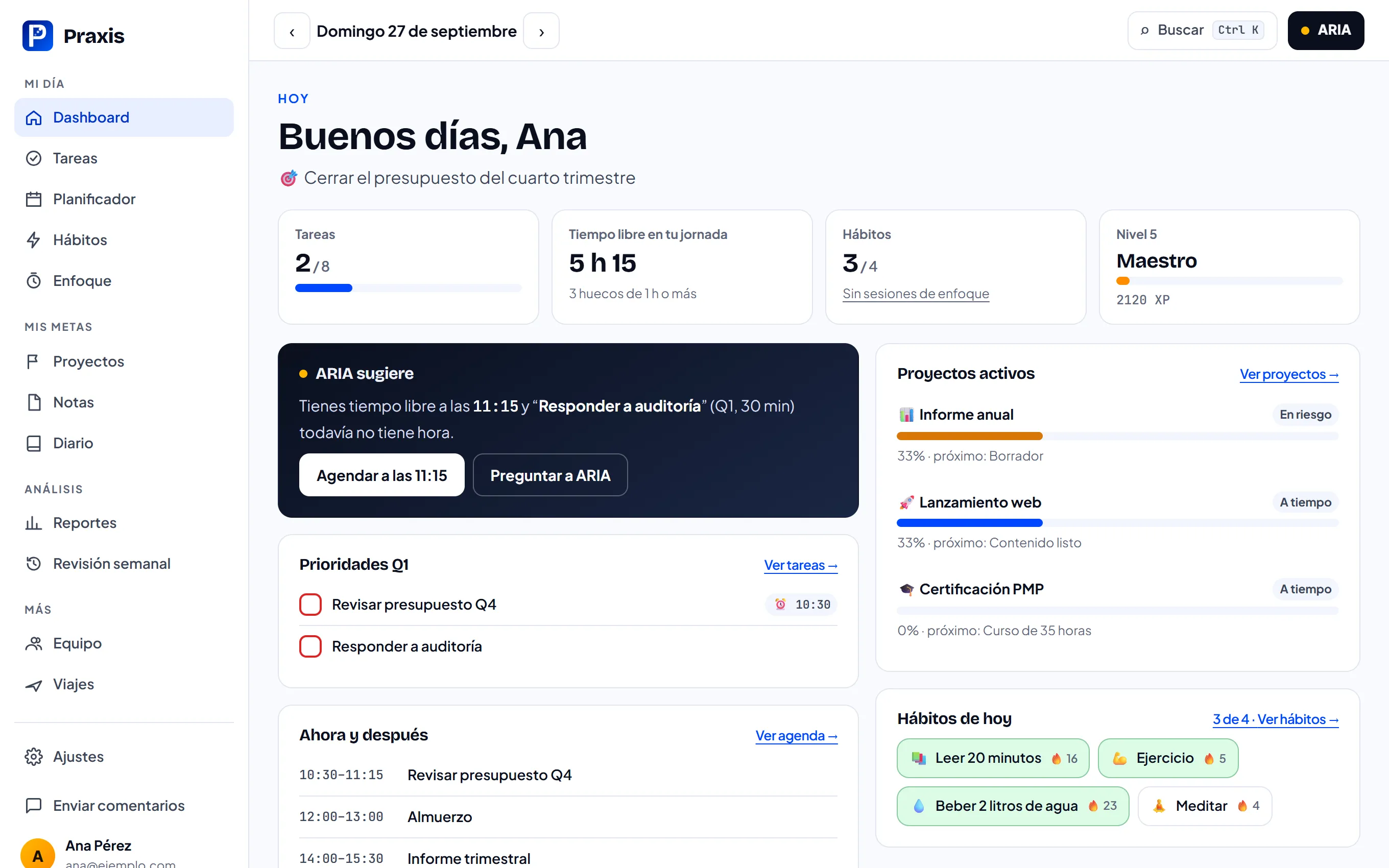 Pantalla Hoy de Praxis: tareas del día, tiempo libre, hábitos, nivel, sugerencia de ARIA y proyectos activos